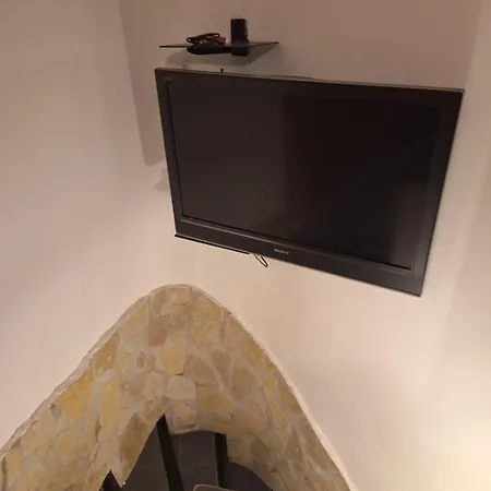T1 Cosy 툴롱